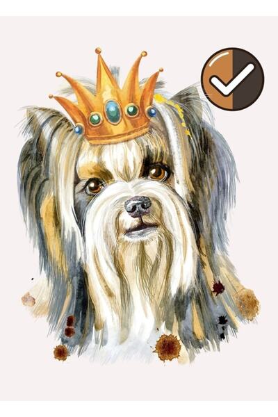 Universal Αγαπά τα ζώα, αντιμετωπίζει τους ανθρώπους με ανοιχτόχρωμη απολαύσε...