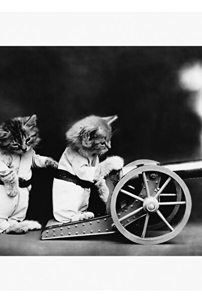 Universal Στρατιωτικές γάτες που πυροβολούν μπάλες - Φωτιά - Χάρι Γουίτιερ Ξύ...