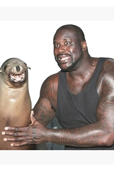 Universal Shaq Ve Deniz Aslanı Tablo Ahşap Poster Dekoratif
