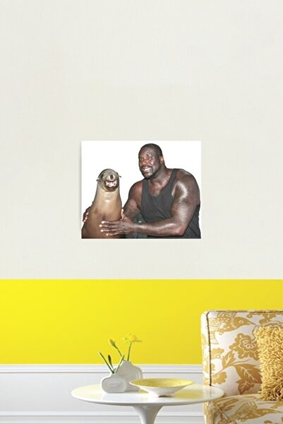 Universal Shaq Ve Deniz Aslanı Tablo Ahşap Poster Dekoratif