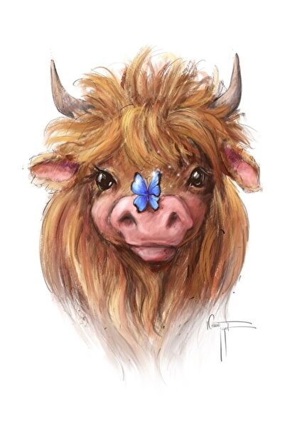 Universal Highland Rendezmoo Αγελάδες Ζωική Τέχνη Πρόβατα Ινκογκνίτο Από την ...