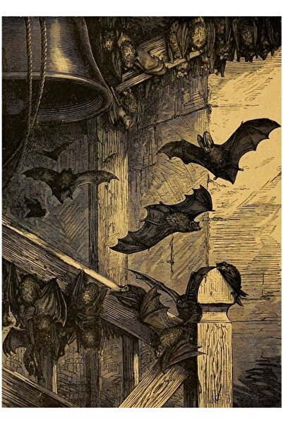 Universal Vintage Viktorya Dönemi Yarasa Tablo Ahşap Poster Dekoratif