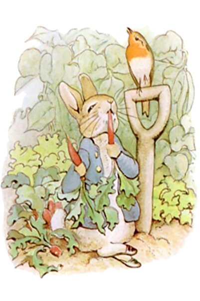 Universal Peter Rabbit, Personajele din grădiniță, Peter Rabbit, Mănâncă ridi...