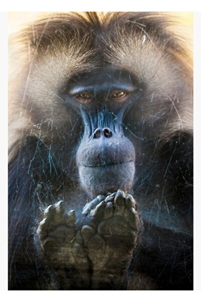 Universal Μετακινήστε με έναν σύνδεσμο ξύλινη αφίσα διακοσμητική