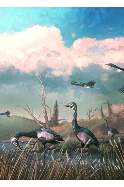 Universal Дървен декоративен плакат с таблица за сблъсквания