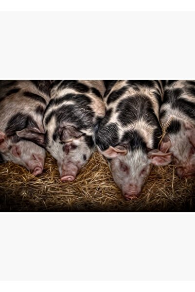 Universal Piggin Soğutucu Tablo Poster decorativ din lemn