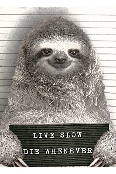 Universal Bir Mugshot'ta Tembellik - Baskı Ev Dekorasyonu Duvar Sanatı Poster Hediye Doğum Günü Ahşap Poster