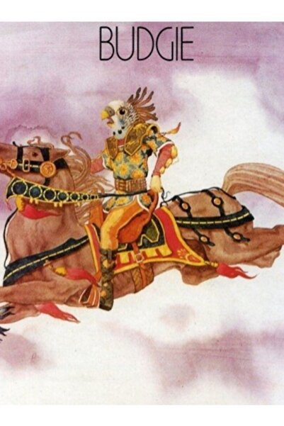 Universal Διακοσμητική ξύλινη αφίσα με σχέδιο πουλιών Lovebird G3