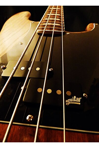 Universal Pickup-uri pentru chitară bas, poster decorativ din lemn