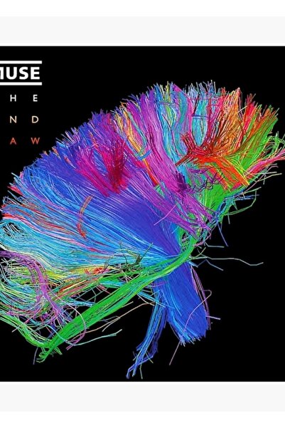 Universal 2. Poster decorativ din lemn cu tabelul legislativ