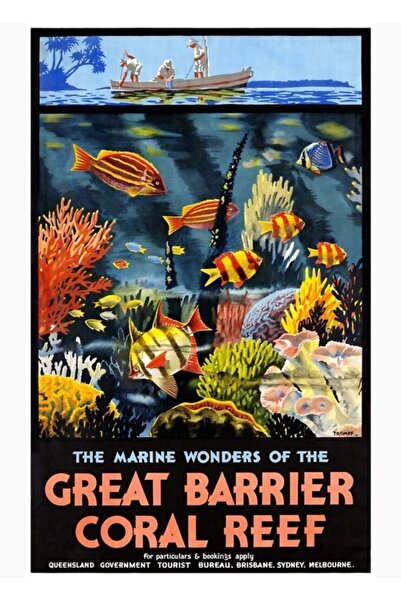 Universal Дървен декоративен плакат/картина: Аустралийски коралов риф Грейт Б...