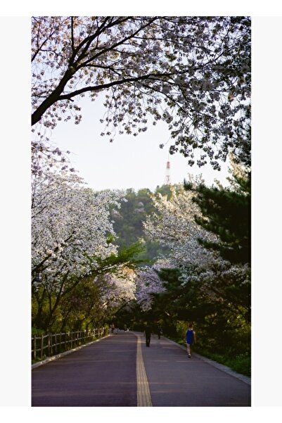 Universal Διακοσμητική ξύλινη αφίσα με σχέδιο του μονοπατιού του Πύργου Νάμσαν