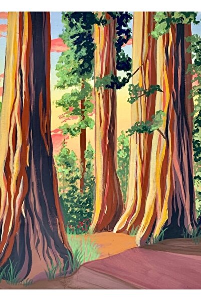 Universal Декоративен дървен плакат с картина от Национален парк Редууд