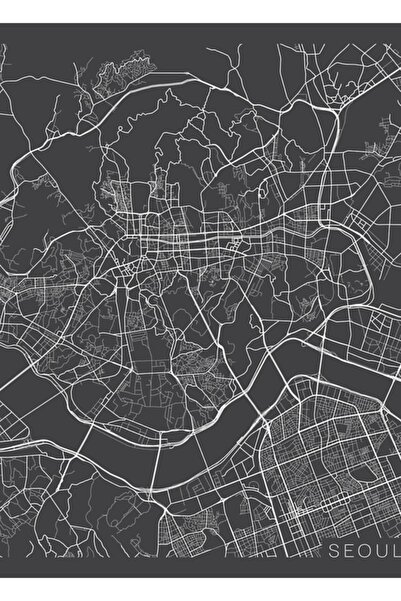 Universal Harta Seulului, Coreea de Sud - Poster decorativ din lemn, gri, pictat