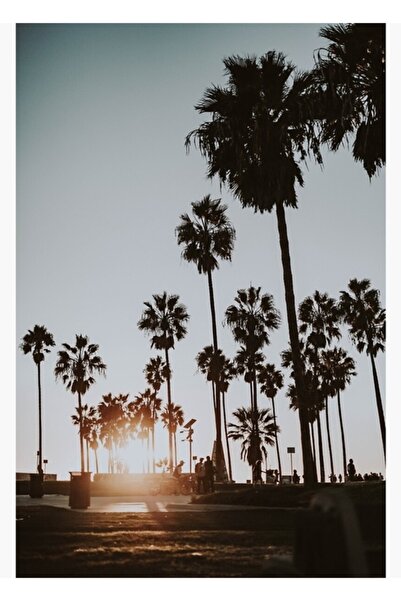 Universal Διακοσμητική ξύλινη αφίσα με θέμα τα φοίνικα / την παραλία της Βενε...