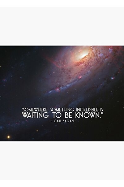 Universal Декоративен дървен плакат с цитат на Карл Саган