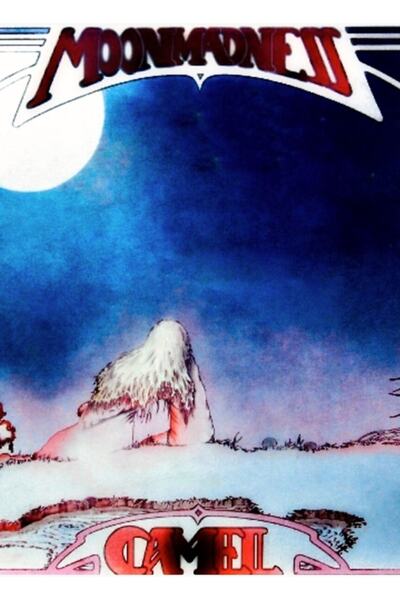 Universal Camel - Moonmadness Poster decorativ din lemn