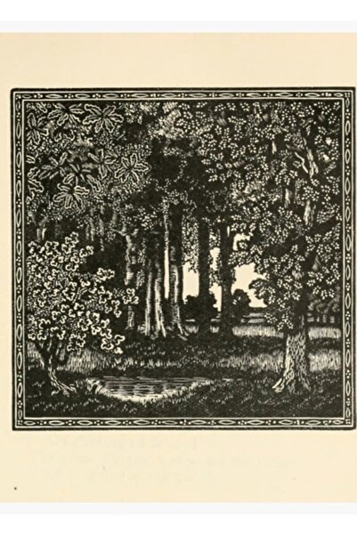 Universal Горска гравюра, картина, дървен плакат, декоративен