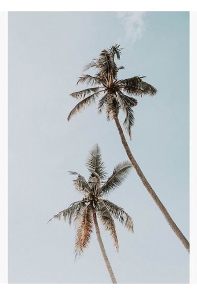 Universal Poster decorativ din lemn cu două palmieri