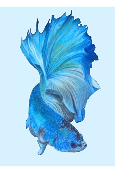 Universal Mavi Beta Tablo Ahşap Poster Dekoratif