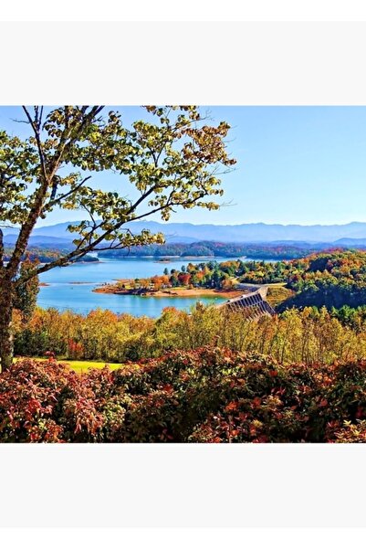 Universal Διακοσμητική ξύλινη αφίσα με το στέγαστρο και την λίμνη Ντάγκλας