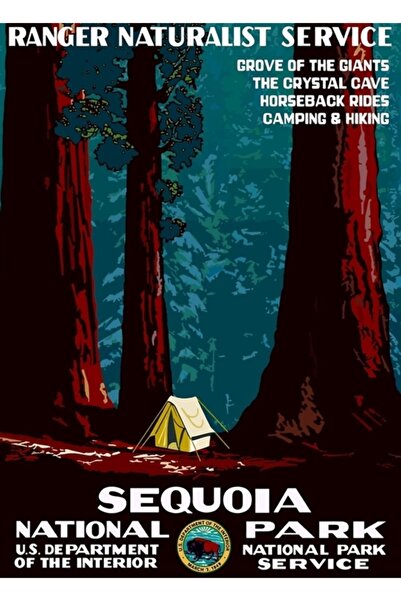Universal Tablou decorativ cu poster din lemn Wpa Camping în Parcul Național ...