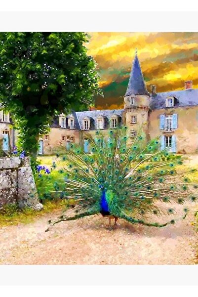 Universal Tablou Chateau Poster din lemn decorativ