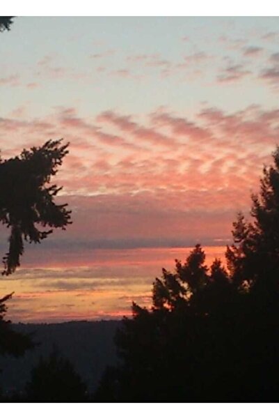 Universal Декоративен дървен плакат с картина на планина Табор