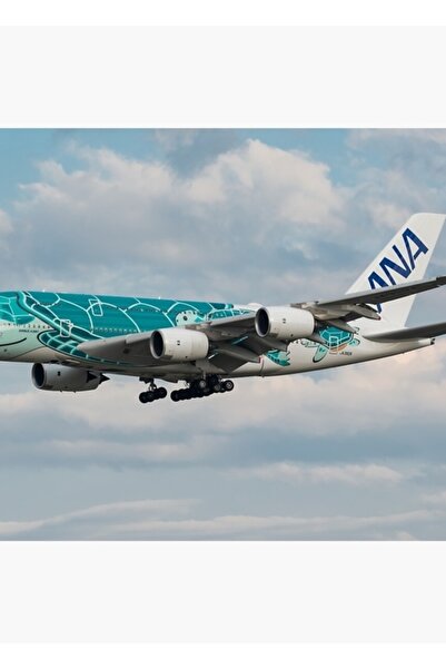 Universal Poster decorativ din lemn Airbus A380-841 All Nippon Airways