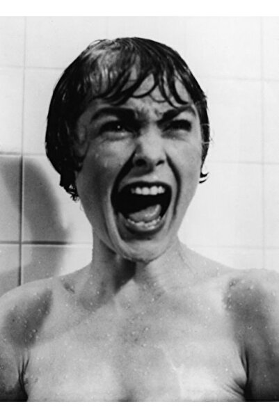 Universal Psihopat. Poster decorativ din lemn Janet Leigh