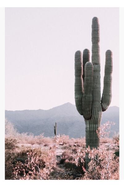 Universal Poster decorativ din lemn cu pictură cu cactus de deșert