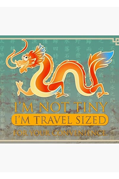 Universal Nu sunt Micul Dragon Tablou Poster din lemn decorativ