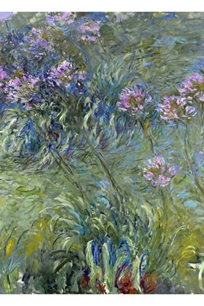Universal Agapanthus - Claude Monet Tablo Ahşap Poster Dekoratif