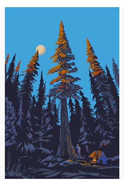 Universal Αφίσα για κάμπινγκ με σχέδιο Γιγαντιαίο Κέδρο και Ηλιοβασίλεμα, Ξύλ...