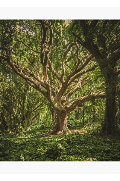 Universal Tablou cu copac verde, poster decorativ din lemn