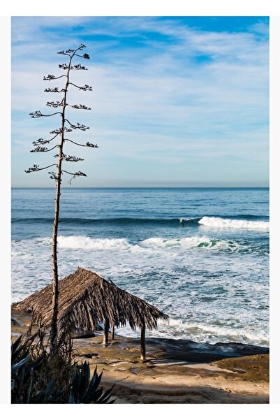 Universal Σερφεριστικό στέβλο και διακοσμητική ξύλινη αφίσα με ξύλινο τραπέζι...