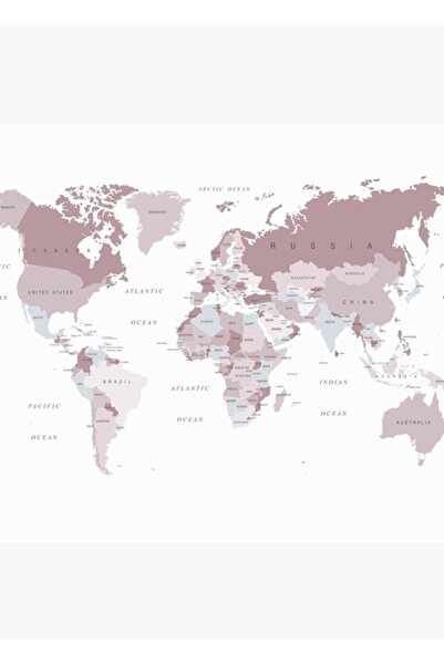 Universal Διακοσμητική ξύλινη αφίσα με ροζ και γκρι χάρτη του κόσμου, τύπου B...