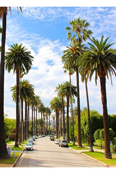 Universal Μπέβερλι Χιλς, Λος Άντζελες. Ξύλινη Διακοσμητική Αφίσα Ζωγραφικής