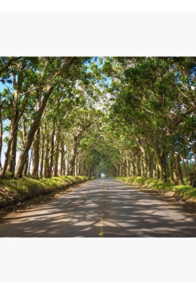 Universal Τούνελ από ξύλο ευκάλυπτου - Διακοσμητική ξύλινη αφίσα με εικονογρά...