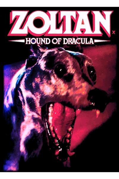 Universal Ζολτάν: Ο σκύλος του Δράκουλα Ξύλινη Διακοσμητική Αφίσα Ζωγραφικής