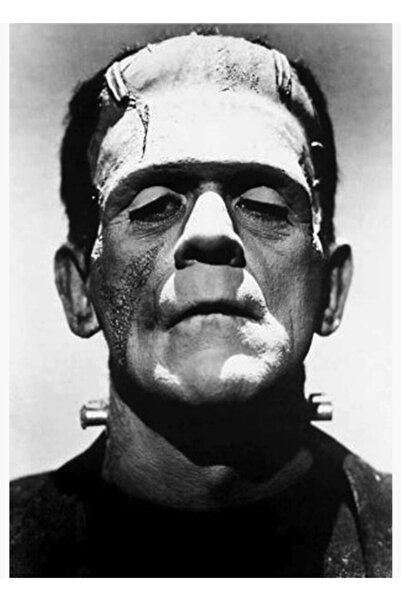 Universal Διακοσμητική ξύλινη αφίσα ζωγραφικής τέχνης Φρανκενστάιν