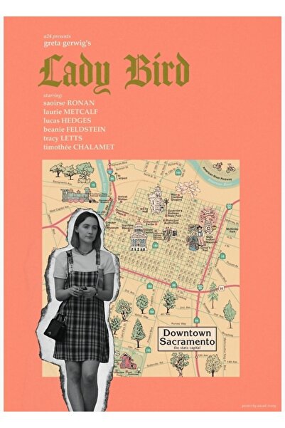 Universal Lady Kuş (2017) Poster decorativ din lemn pictat