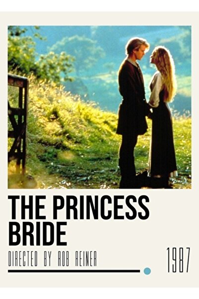 Universal Poster de film Princess Bride, tablou, poster din lemn, decorativ