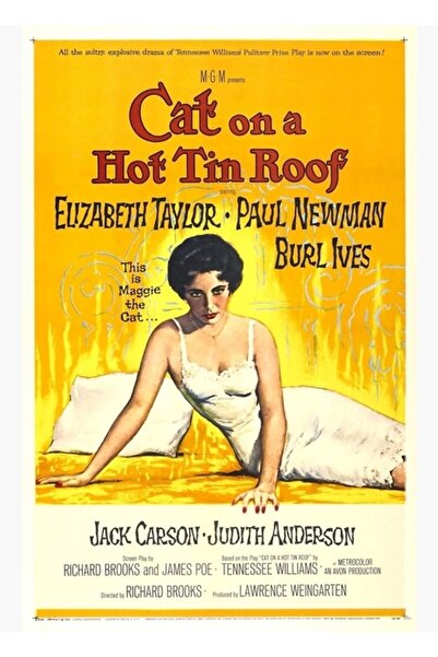 Universal Pisica la stâncă fierbinte pe acoperiș, tablou decorativ din lemn, ...