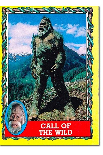 Universal Άγρια Καλέσεις - Ξύλινη διακοσμητική αφίσα του Χάρι και των Χέντερσονς