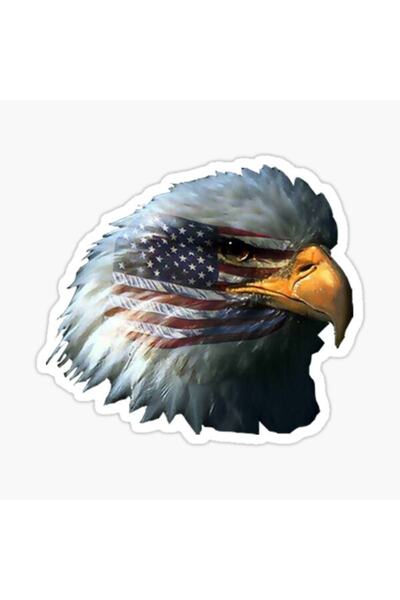 TSC ملصق لاصق على شكل نسر للسيارة بشريط أمريكي 17 سم
