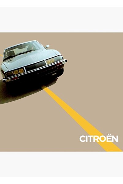Universal Poster decorativ din lemn Citroen Sm pentru pictură