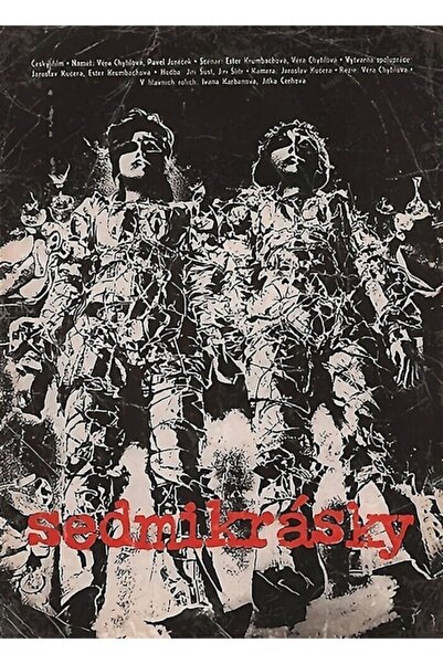 Universal Margarete (sedmikrasky) Poster decorativ din lemn