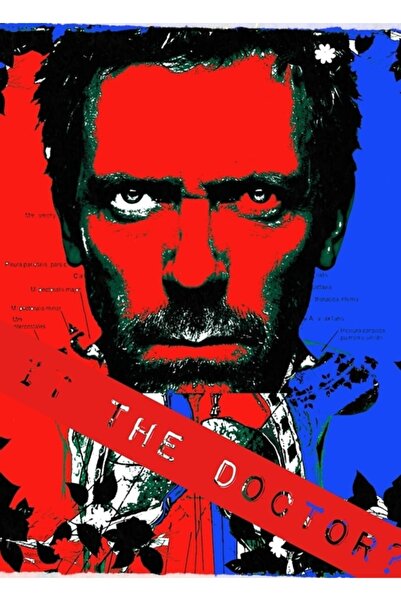 Universal Cine este acest doctor? Tablou decorativ din lemn, tip poster