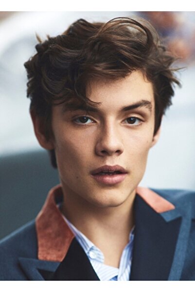 Universal Διακοσμητική ξύλινη αφίσα ζωγραφικής τέχνης Louis Partridge